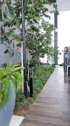 Altez (D2), Apartment #459333461